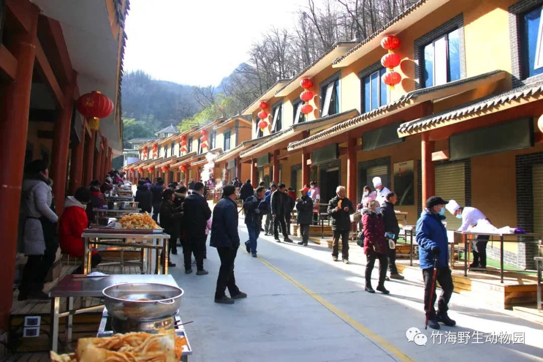 “春满中原 栾川过年”<br>文旅大餐活力全开！