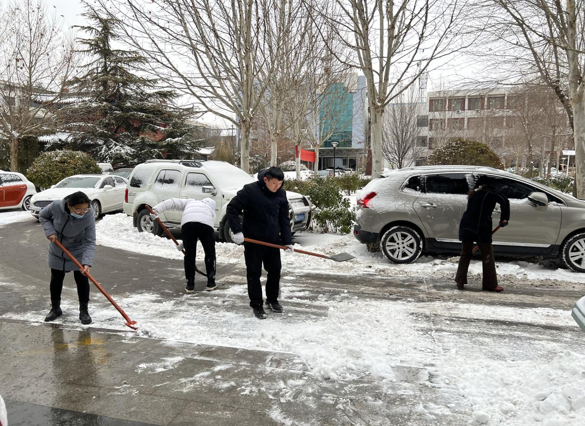 开封市审计机关：冰天雪地寒风冷 志愿服务暖人心