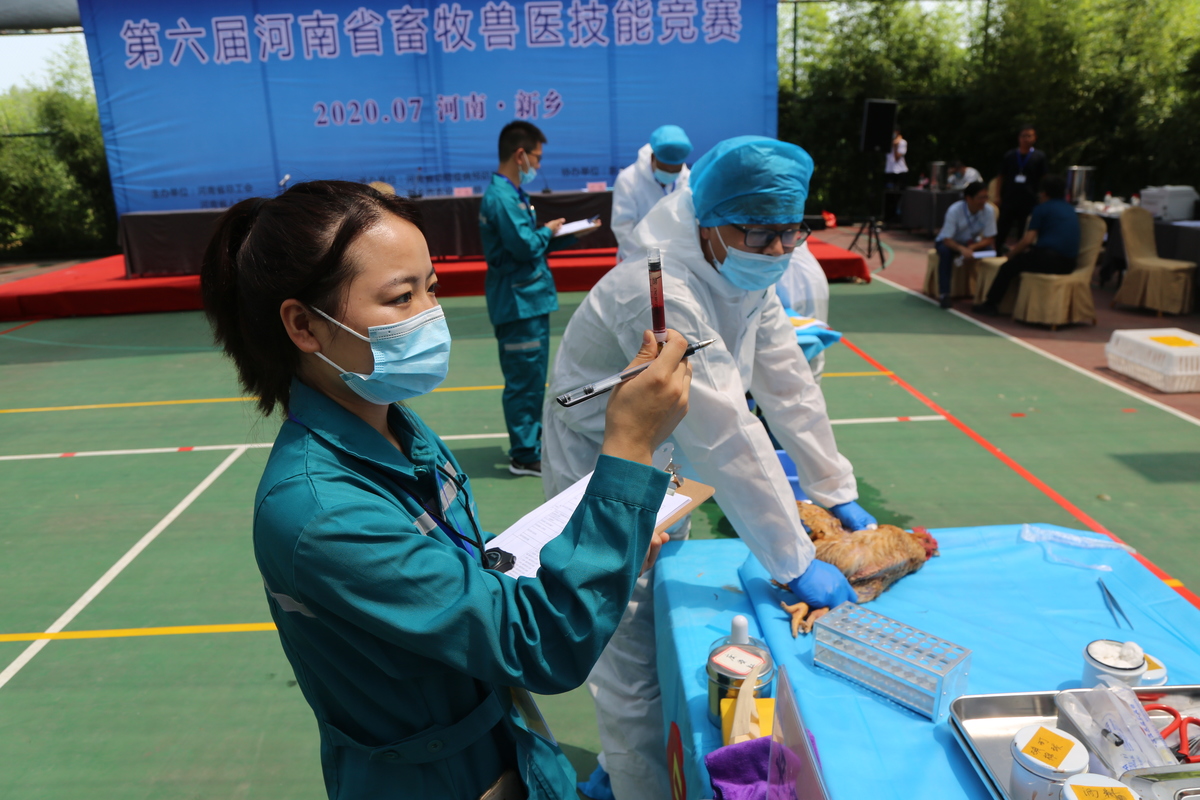 第六屆河南省畜牧獸醫(yī)技能競(jìng)賽（動(dòng)物疫病防治員）在新鄉(xiāng)成功舉辦