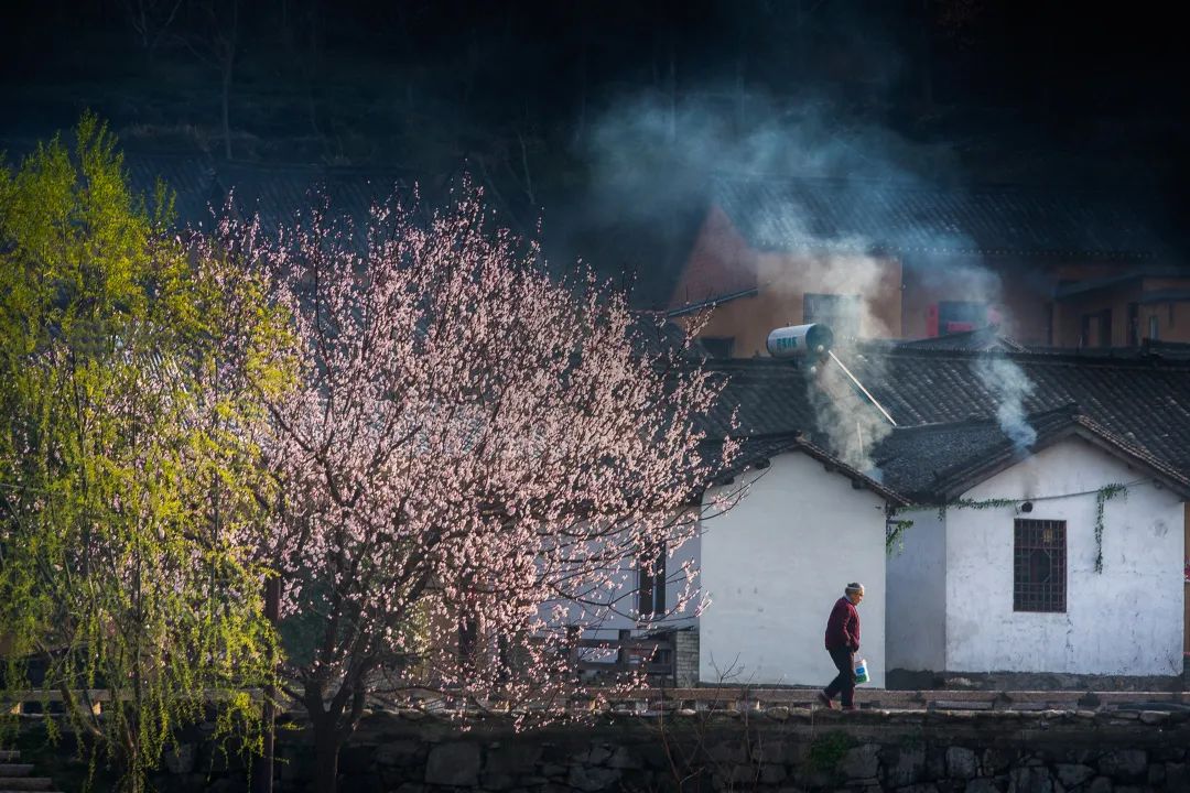 传统村落看河南 | 豫南传统田园古村——河南新县田铺大湾村