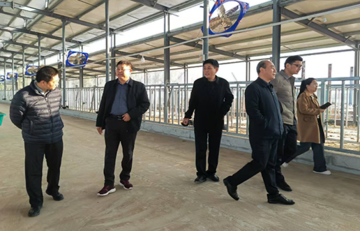 省农业农村厅党组第一巡察组调研省种业发展中心重大项目建设情况