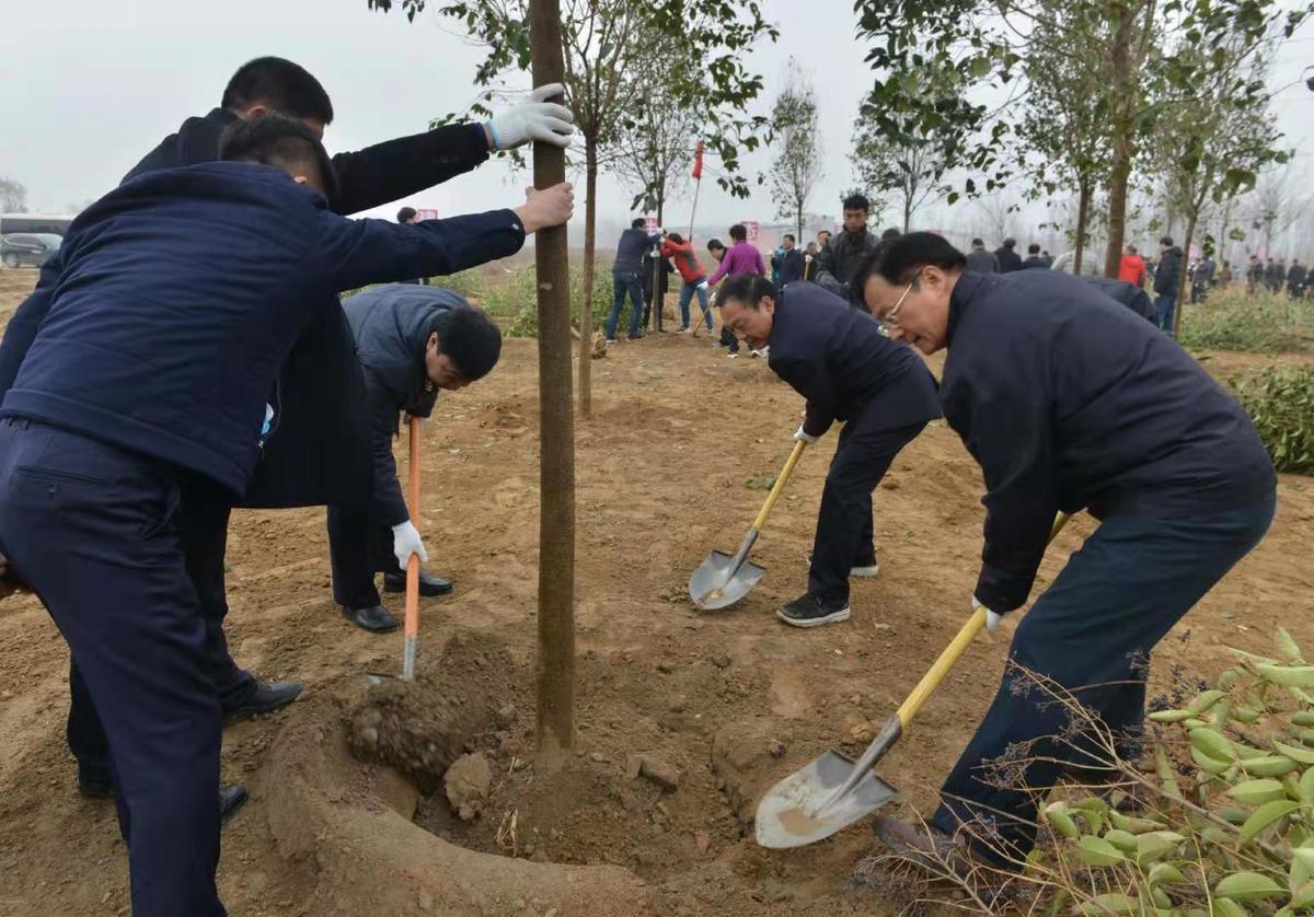 河南组织全民义务植树