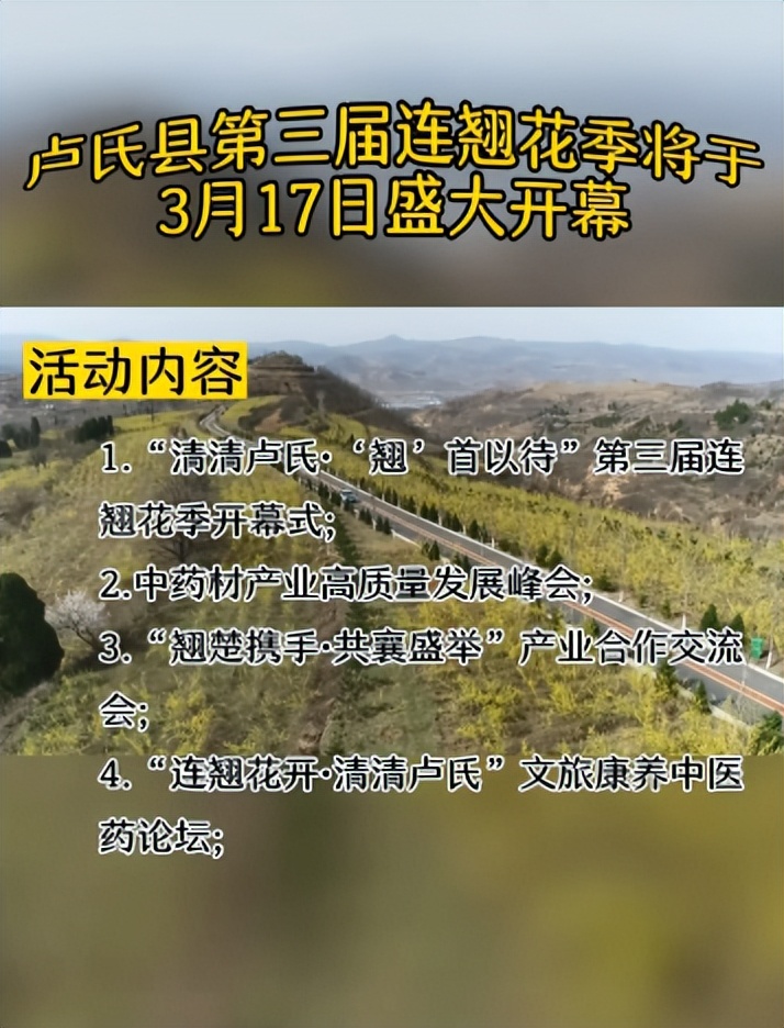 行走河南·读懂中国｜卢氏连翘花季14条精品赏花线路