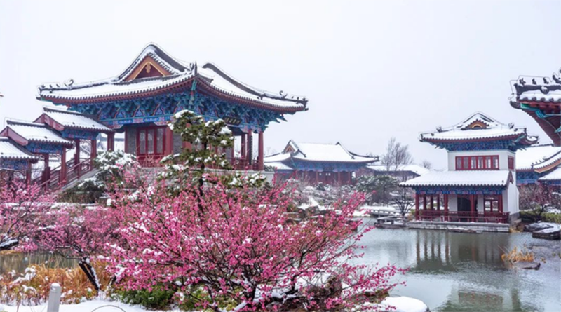 元旦假期，郑州旅游市场节日气氛浓烈
