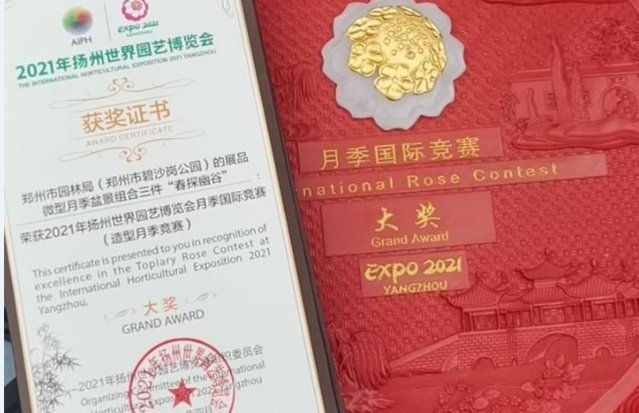 郑州市碧沙岗公园盆景作品荣获世界园艺博览会月季国际竞赛大奖 郑州市碧沙岗公园盆景作品荣获世界园艺博览会月季国际竞赛大奖