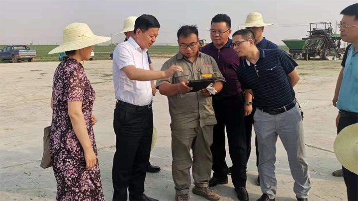 省农业农村厅党组成员、副厅长王承启一行调研黄河滩区优质苜蓿示范基地 建设情况