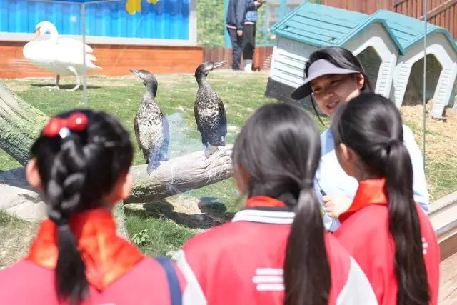 关注河南省第43个“爱鸟周”｜把群鸟栖息的画景绘在孩子心间