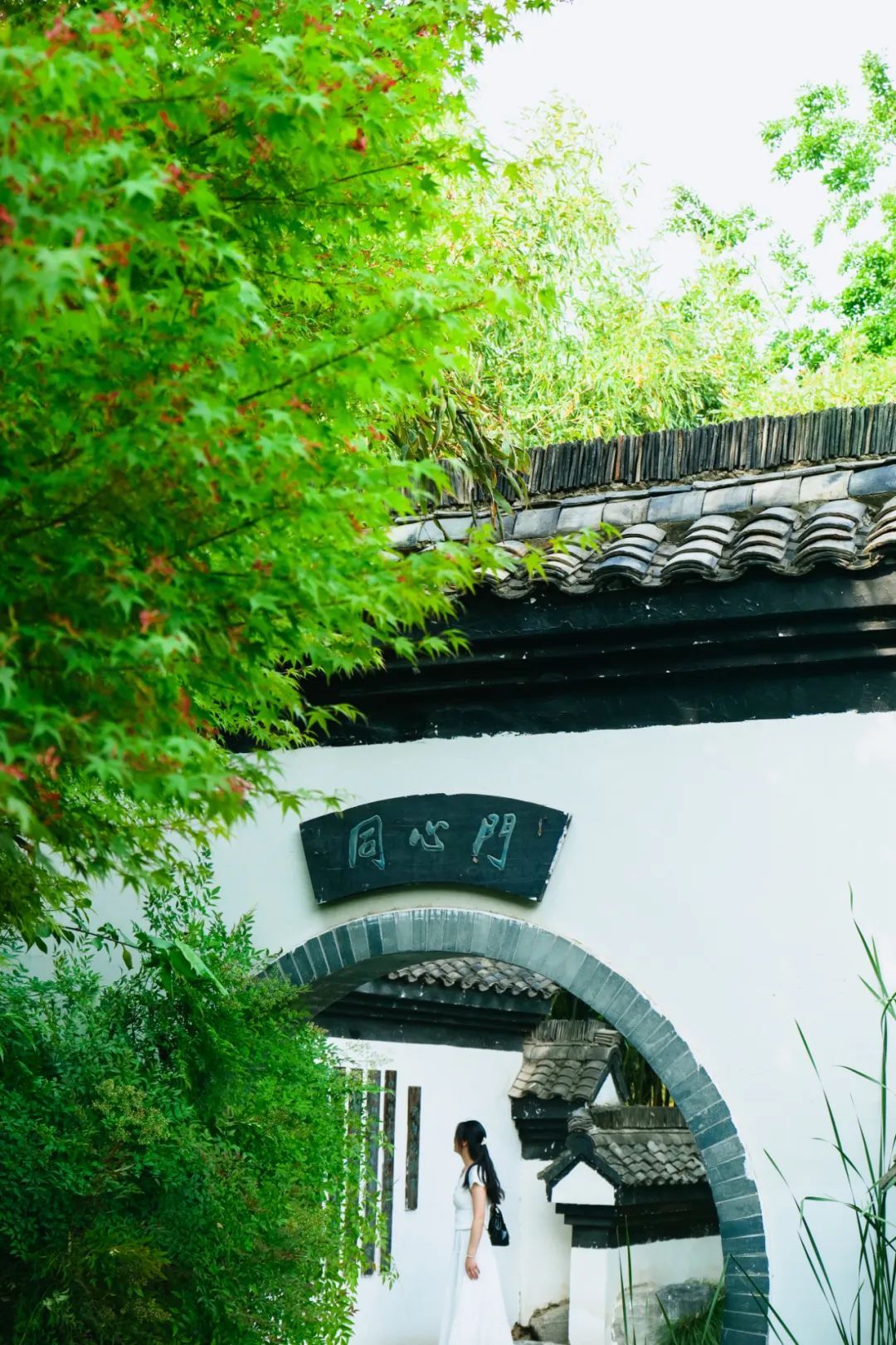 行走河南·读懂中国丨感受绿博园夏日的魅力