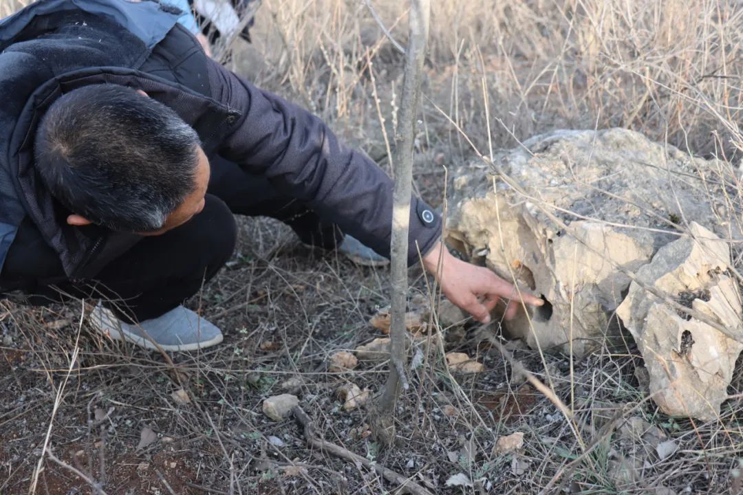汝州张湾遗址：半山坡上显人踪