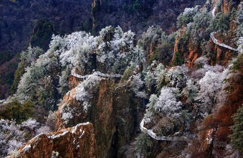 穿越时间长河，云赏老君山历年雪景