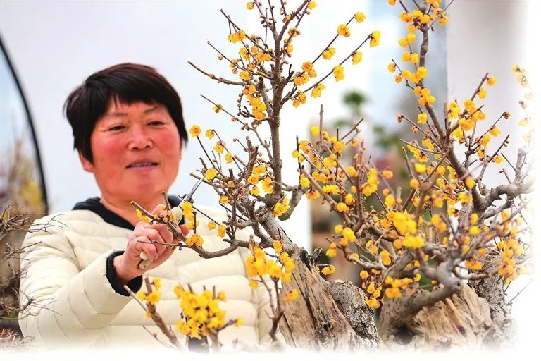 产业旺 促乡村兴