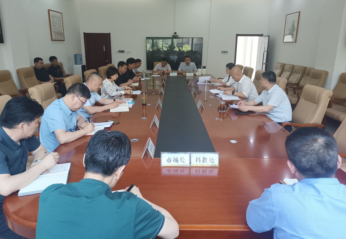 大服务平台建设工作专班召开工作推进会