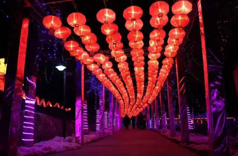 驻马店：春节假日 文旅市场精彩纷呈 