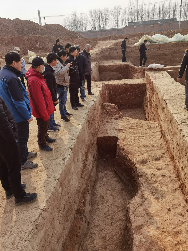 禹寺遗址探方分布位置禹寺遗址位于孟州市谷旦镇禹寺村西北部黄土丘陵