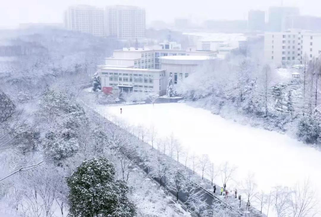 瑞雪兆丰年！你那里下雪了吗？