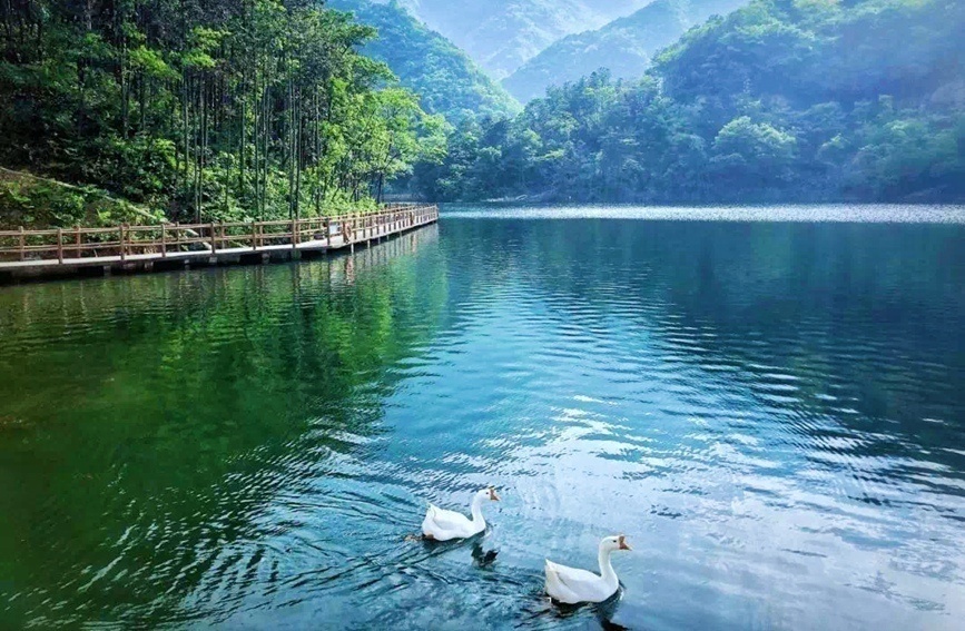 行走河南·读懂中国丨信阳商城：山川黛青 泉水泠泠