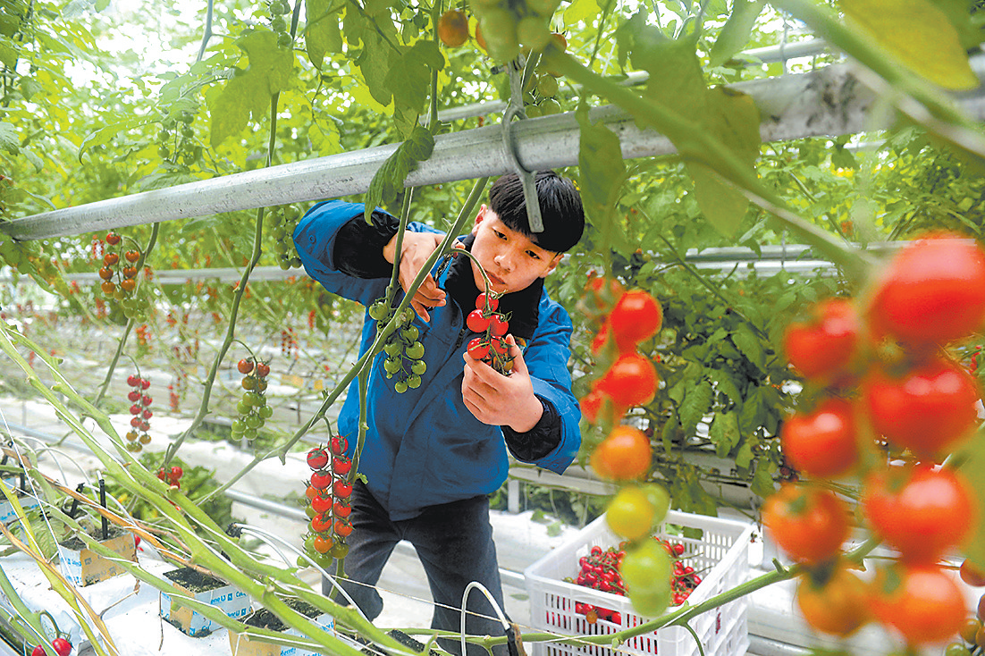 河南省经济“稳”字开局