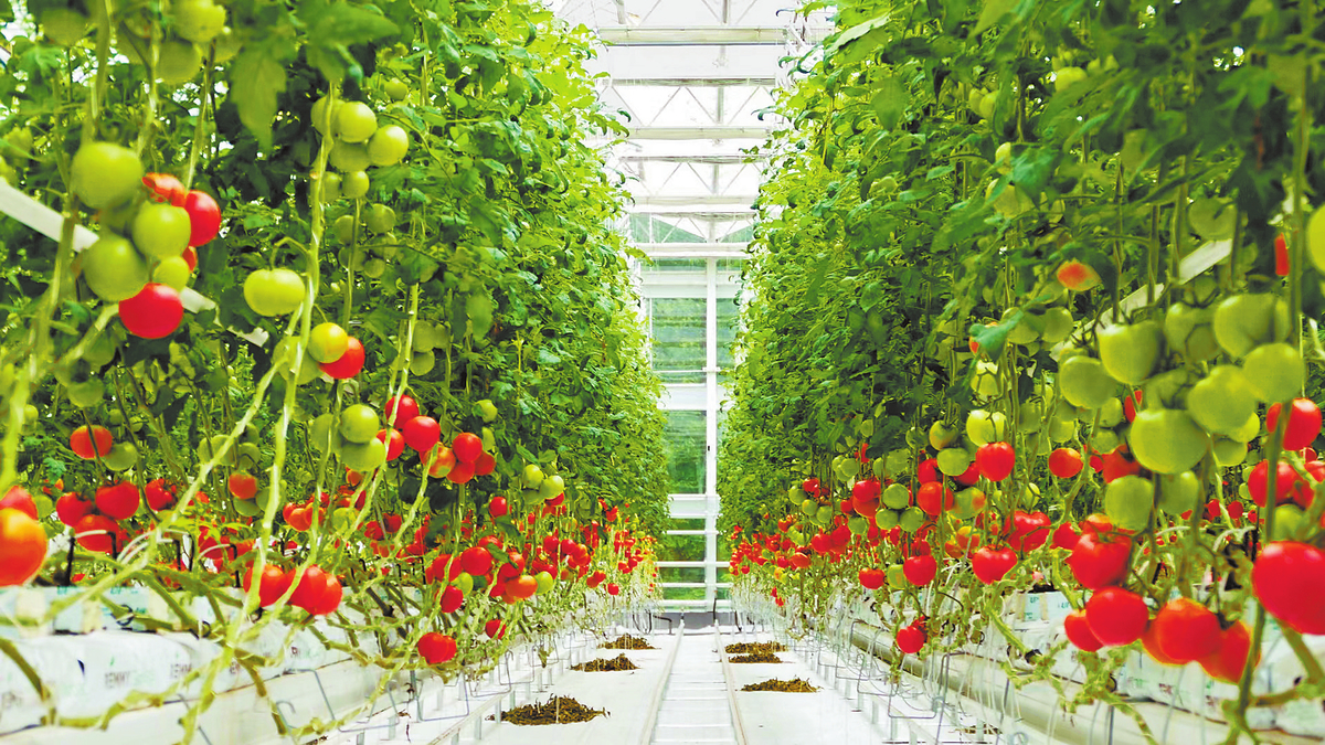 擦亮产业金招牌 勾勒振兴新图景