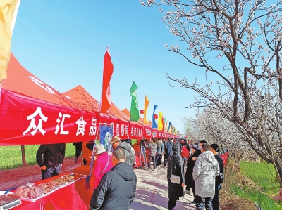 南乐：以花为“媒”促消费