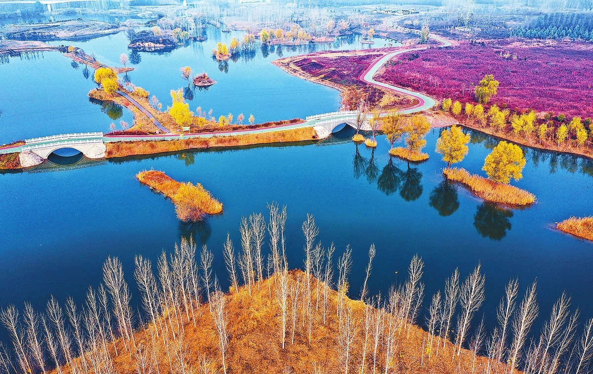 ʪ������������