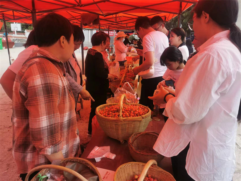 卢氏：游自然山水 享田园生活