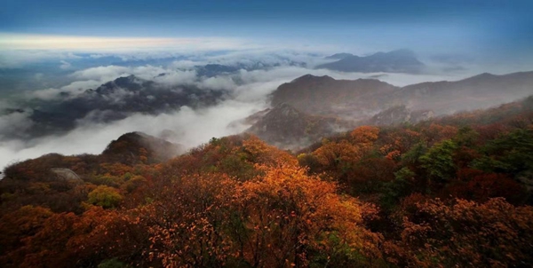 文化和旅游部推出149条全国乡村旅游精品线路 河南5条线路入选