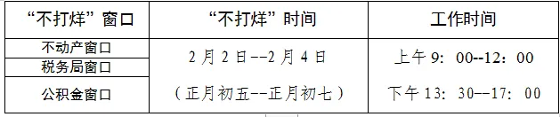 漯河市政务服务中心在2025年春节期间开设“不打烊”窗口的通告