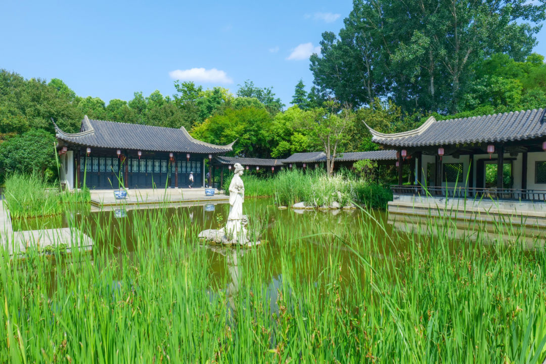 行走河南·读懂中国丨感受绿博园夏日的魅力