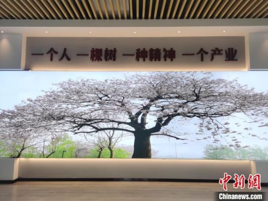 【行走河南·读懂中国】兰考“音乐小镇”：一棵泡桐树“长”出大产业