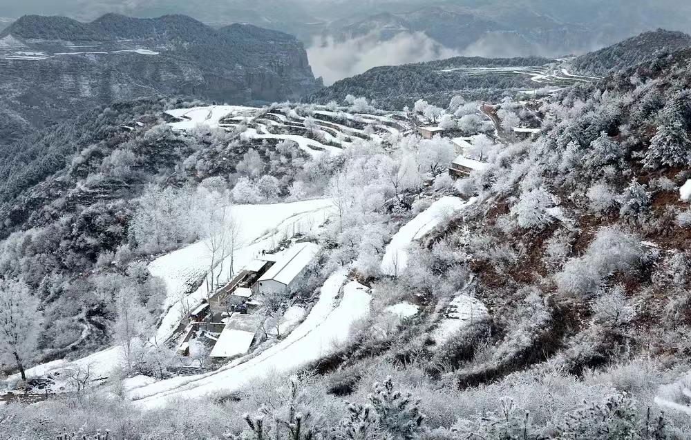 河南农村雪景图片