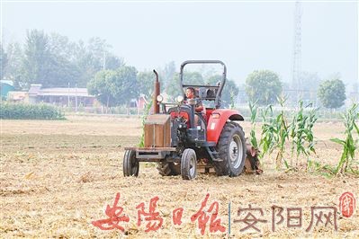 【安阳内黄县】只争朝夕 复耕改种