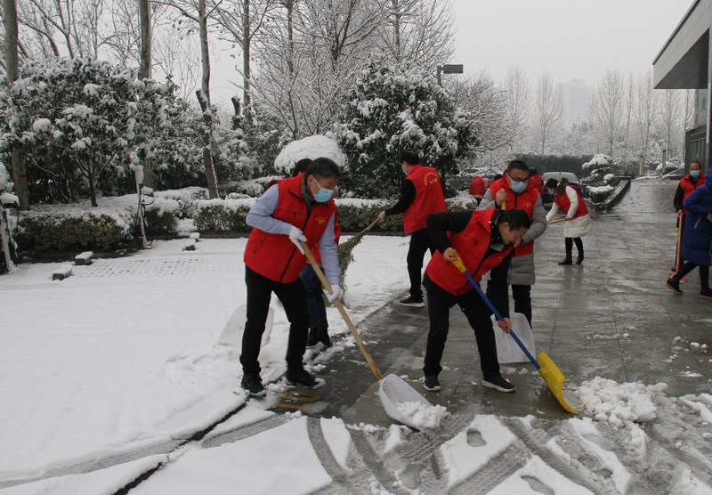 不畏严寒除积雪  齐心协力抗疫情 <br>——厅机关党委、洛阳无管局组织开展系列志愿活动