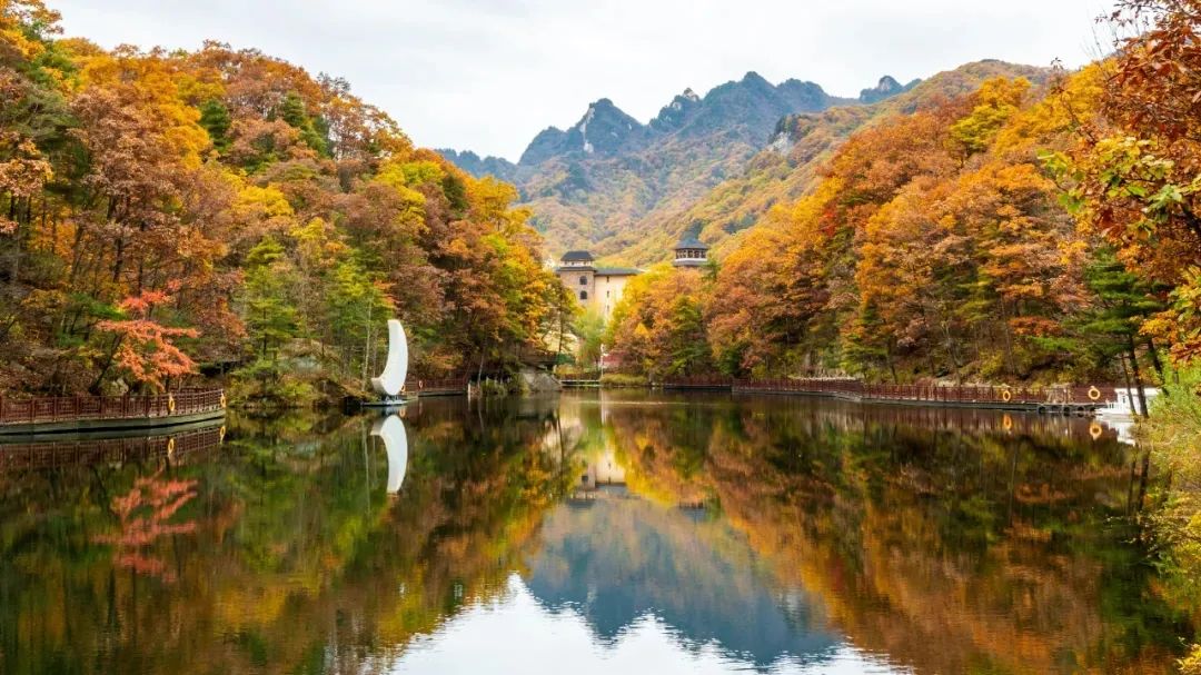 【行走河南·读懂中国】10月1日-31日 洛阳白云山对全国游客免门票