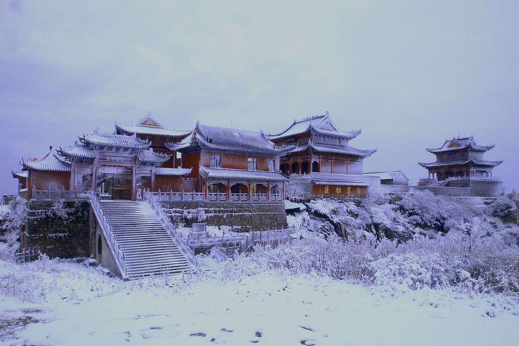 桐柏推动生态四季游助力经济增长