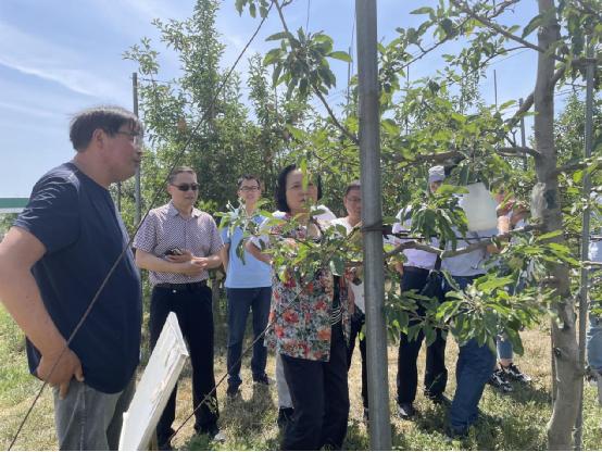 【三门峡】院校联合，服务三农