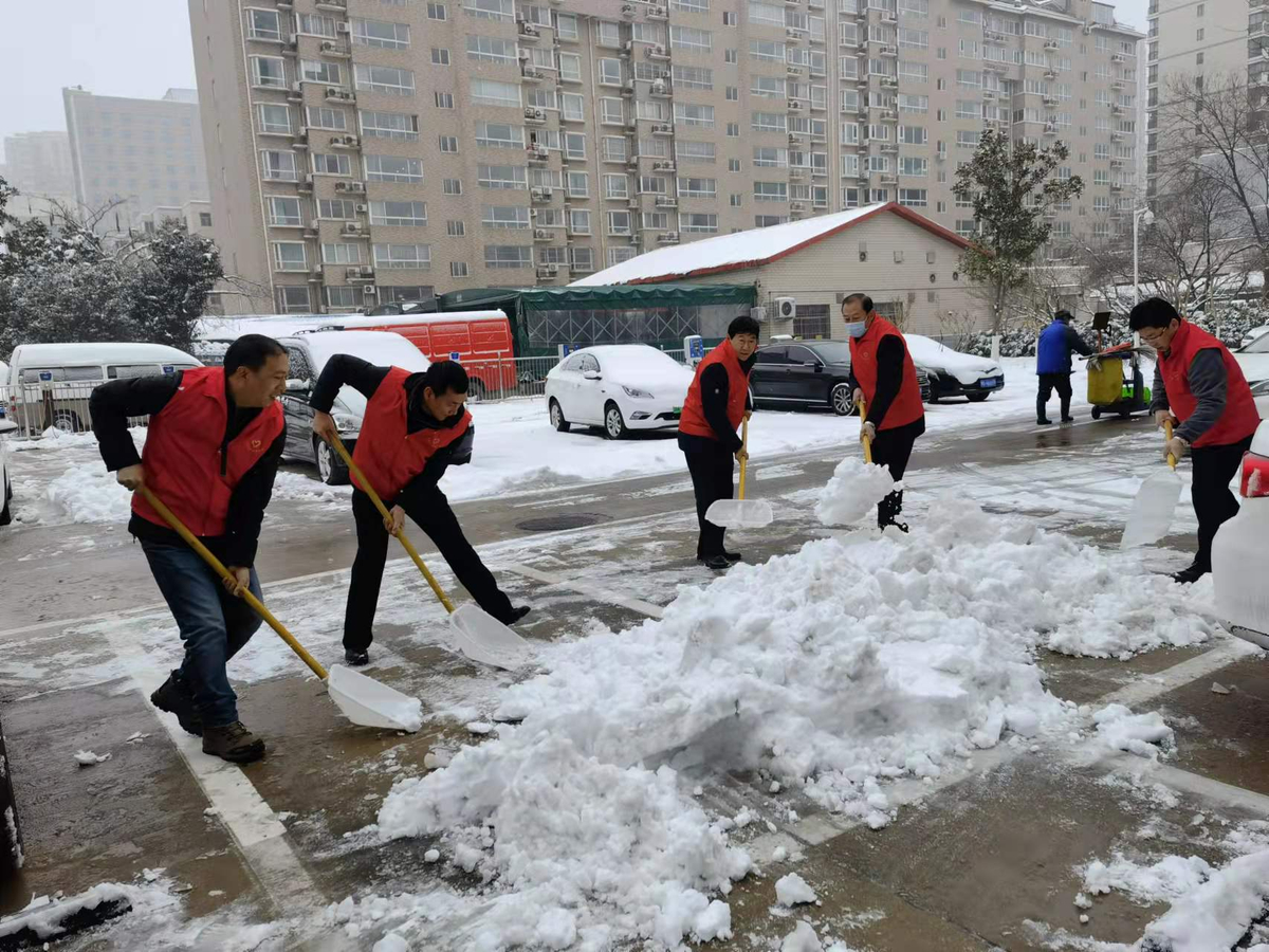 河南省乡村振兴局组织机关志愿者开展清扫冰雪活动