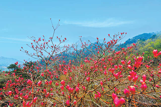 花间