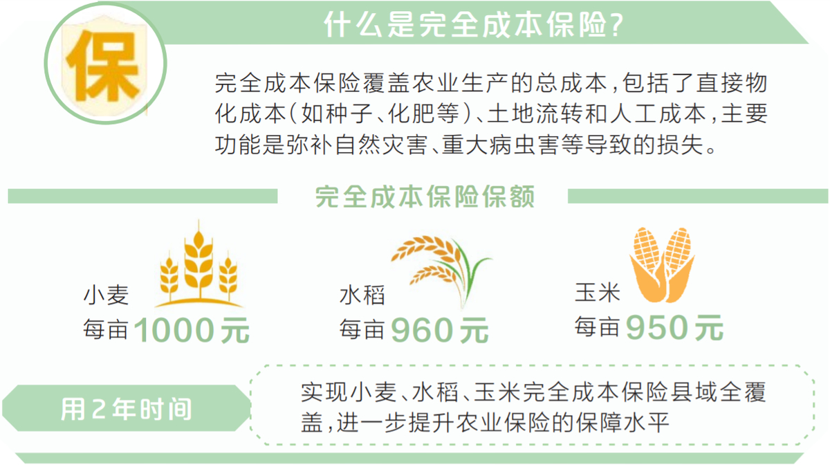 减轻种粮负担“旱涝保收”不难 新萄京ag65609com省为小麦水稻玉米上“全险”