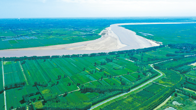 沿黄生态廊道映绿“幸福河”