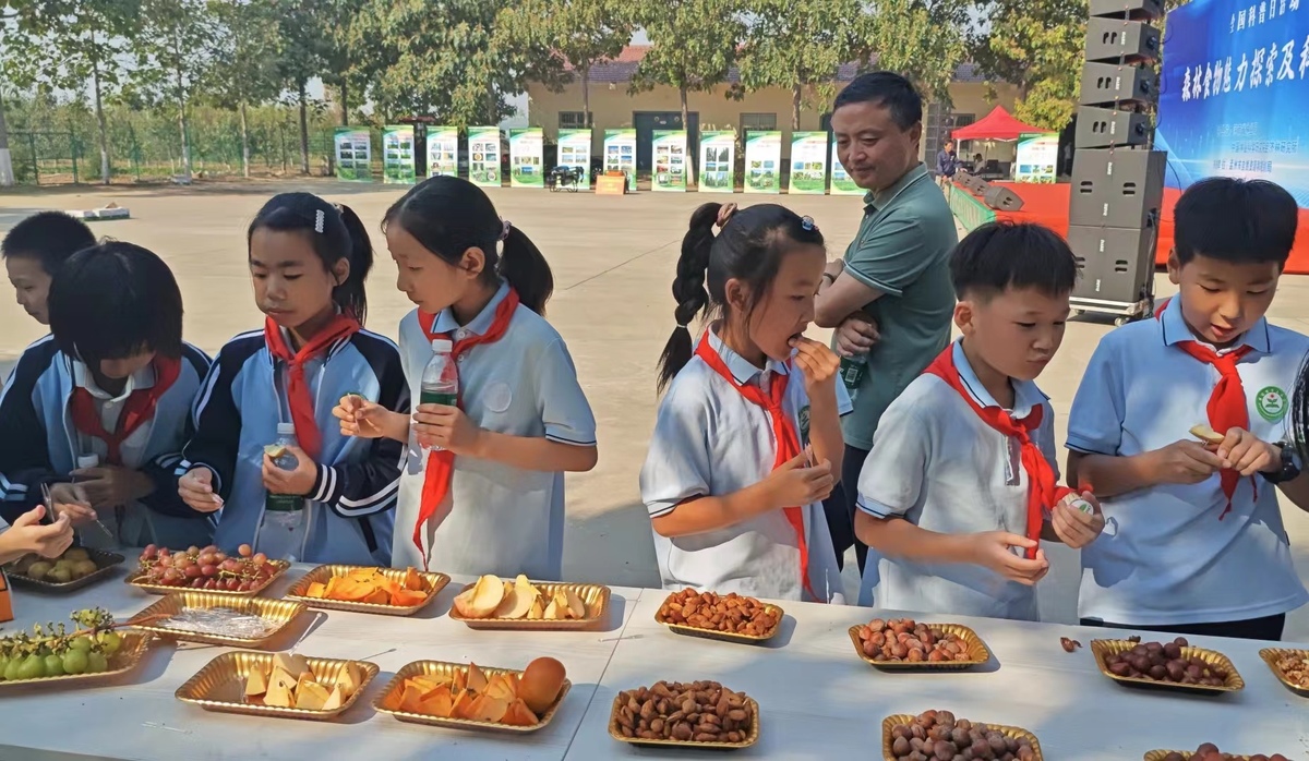 認(rèn)識(shí)“森林食物” 感受科學(xué)魅力