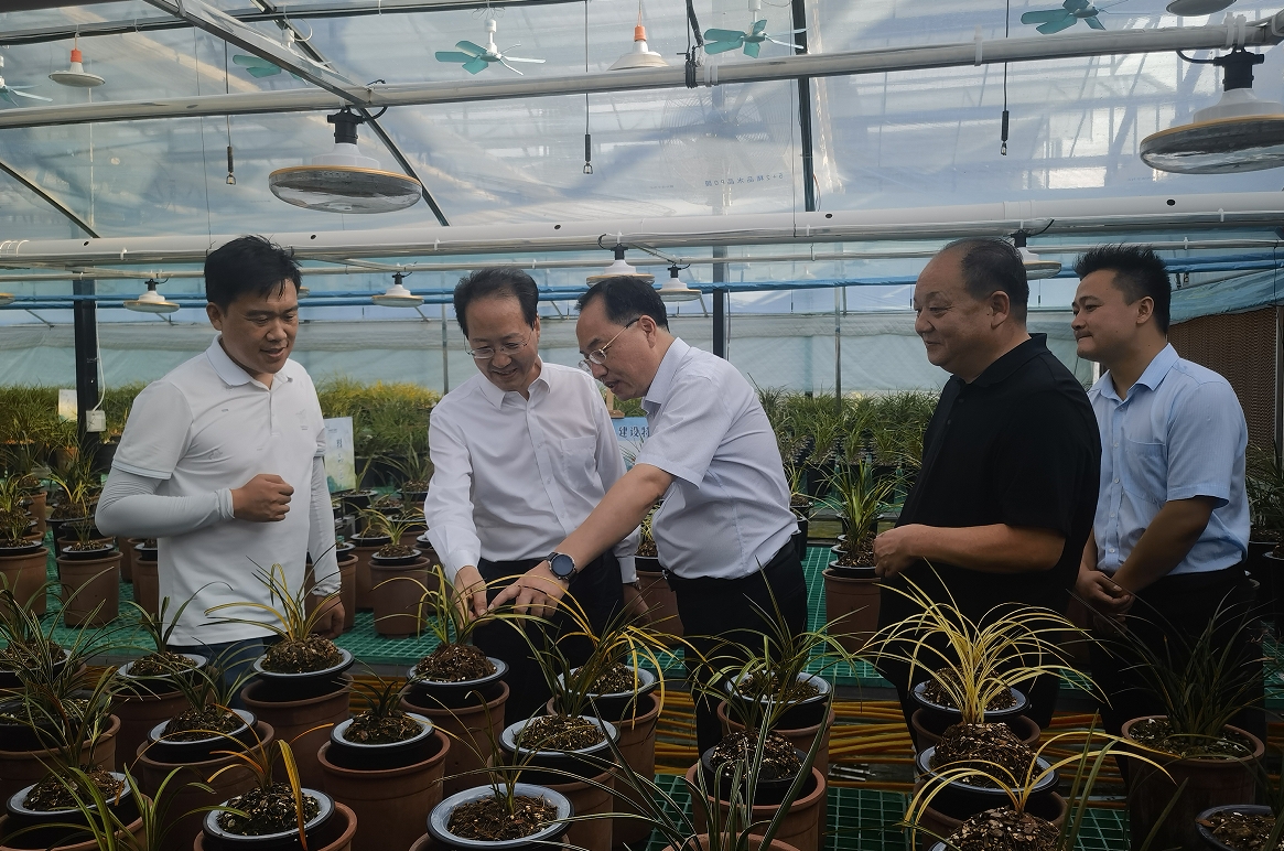 谢长伟到洛阳市调研财政衔接资金助力乡村产业发展情况