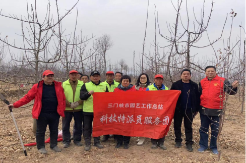 【三门峡市】三门峡市果品产业科技特派员服务团送科技到果园