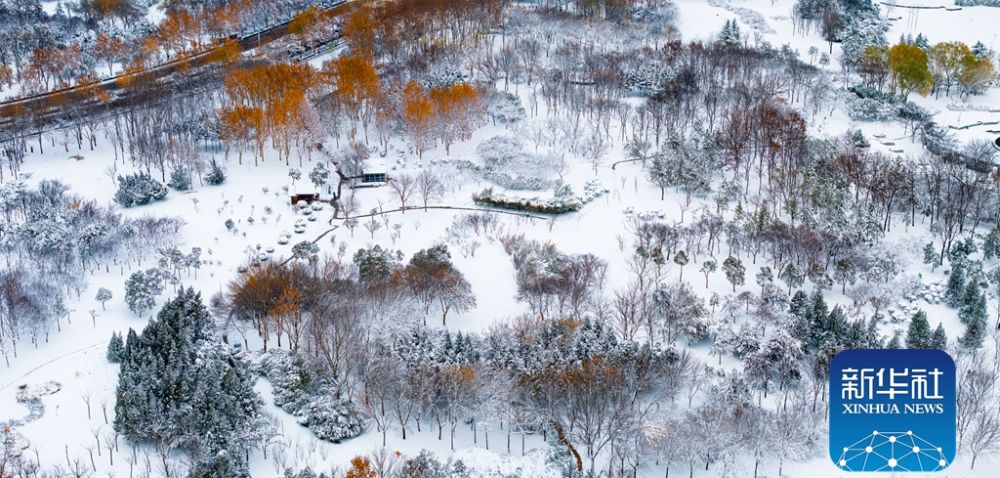 云赏商都绝美雪霁图