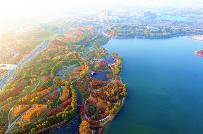 郑州在龙湖湿地公园邂逅冬日胜景