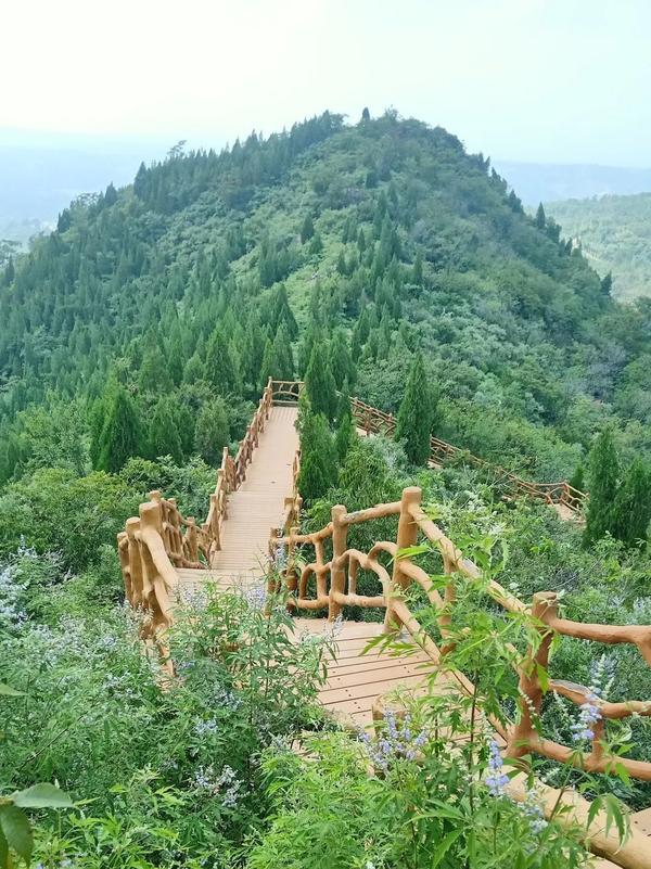 【行走河南·读懂中国】大冶镇香山森林公园--绿水青山康养度假好地方