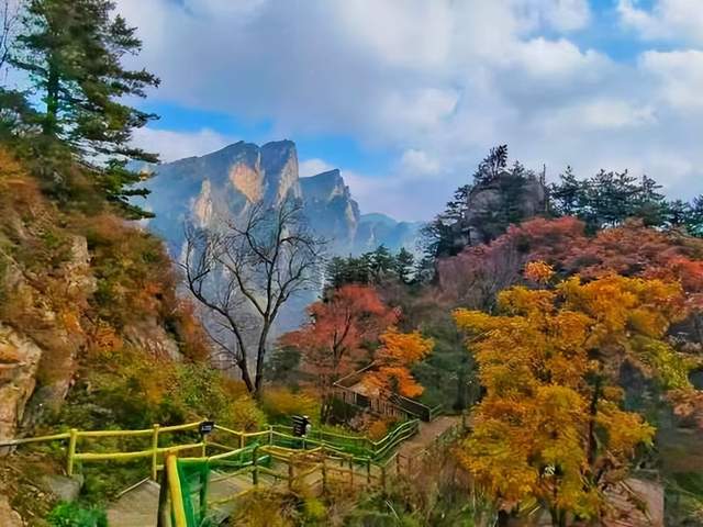 【行走河南·读懂中国】老界岭：万亩彩林进入最佳观赏期
