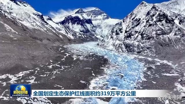 ȫ��������̬�����������Լ319��ƽ������