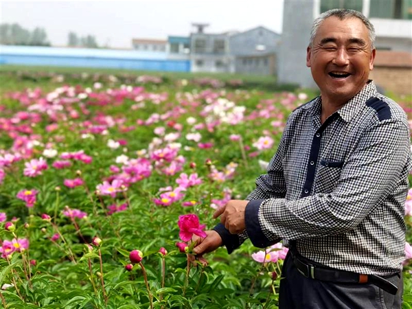 河南省虞城县：芍药花开迎客来 亦农亦旅促增收