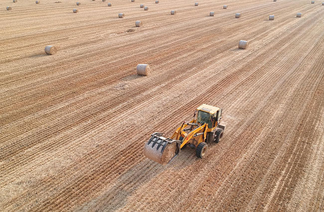 現代農機“展雄風” 確保小麥“顆粒歸倉”