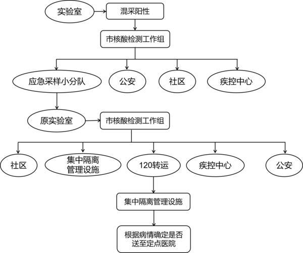 区域核酸检测流程图图片